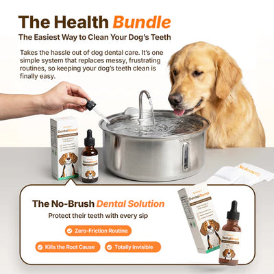 The FreshFlow Dog Fountain™