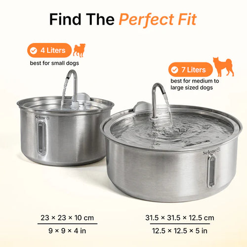 The FreshFlow Dog Fountain™