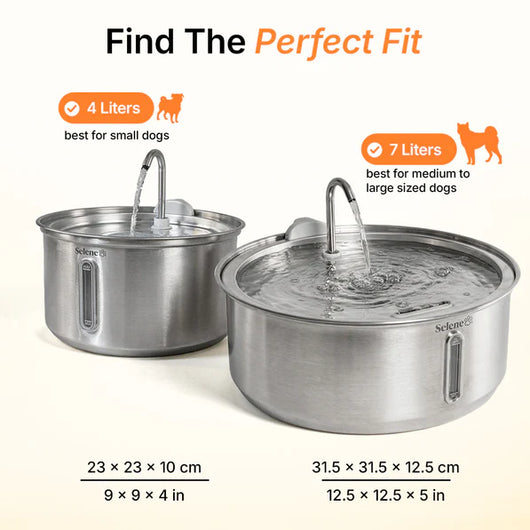 The FreshFlow Dog Fountain™